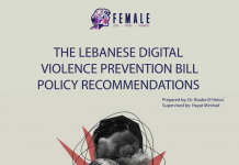 “The Lebanese Digital Violence Prevention Bill: Policy Recommendations”